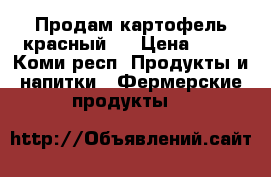 Продам картофель красный.  › Цена ­ 17 - Коми респ. Продукты и напитки » Фермерские продукты   